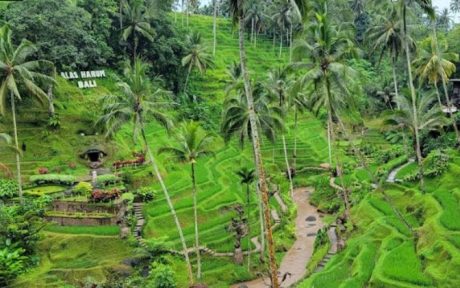 Alas Harum Bali - Tempat Wisata Ubud