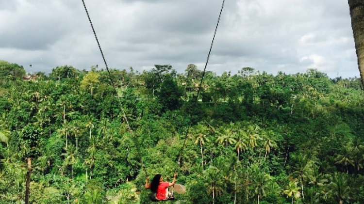 Bali Swing