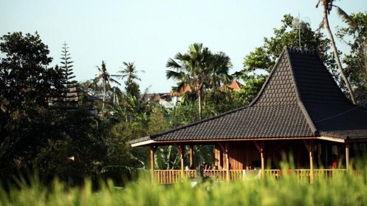 The Farm Hostel - Hostel Backpacker di Canggu
