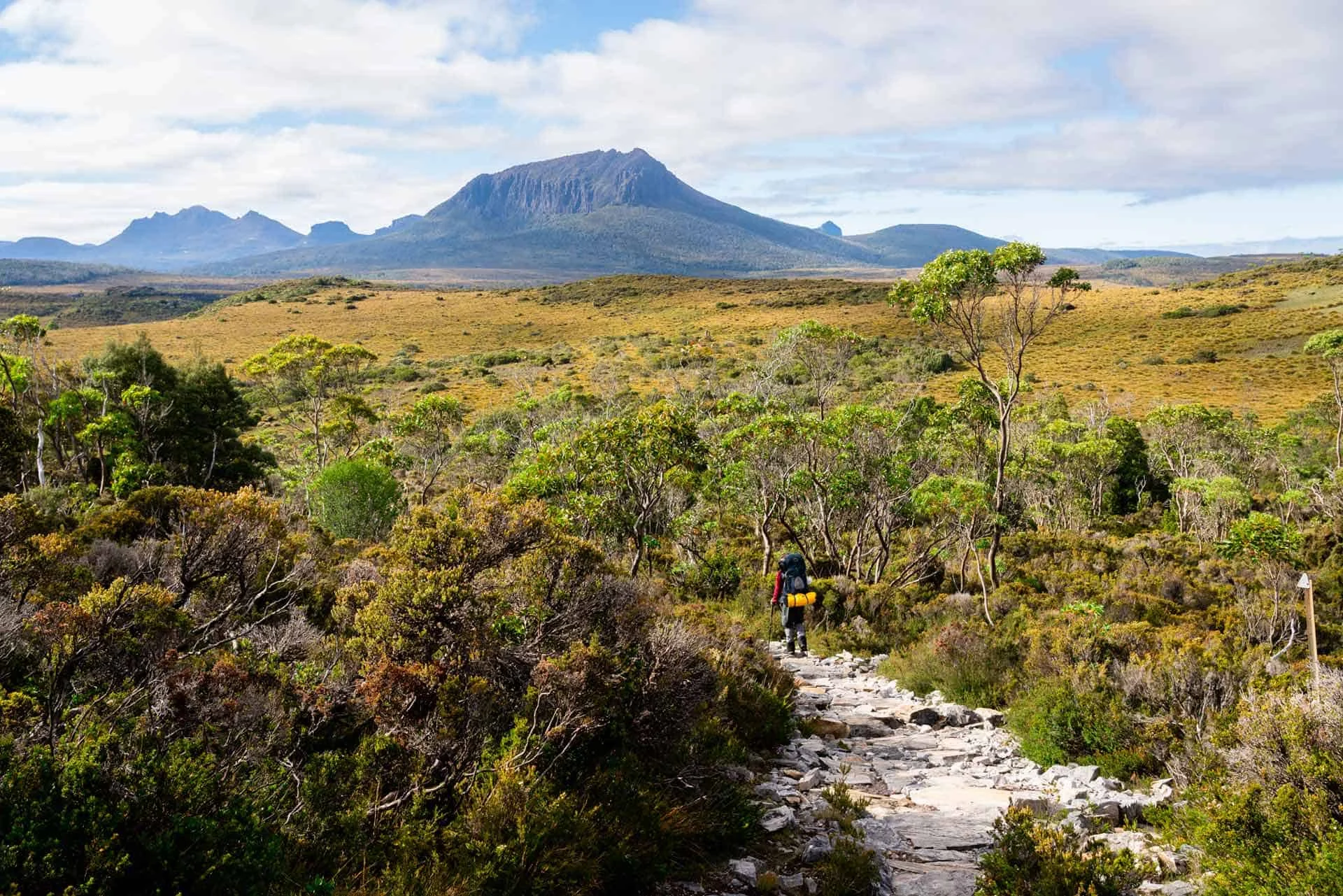 Panduan Lengkap Mendaki Jalur Overland Track di Tasmania