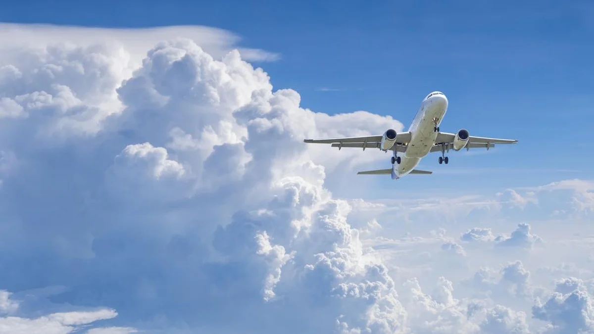 Viral Pramugara Dipukul Penumpang Saat Boarding di Lombok