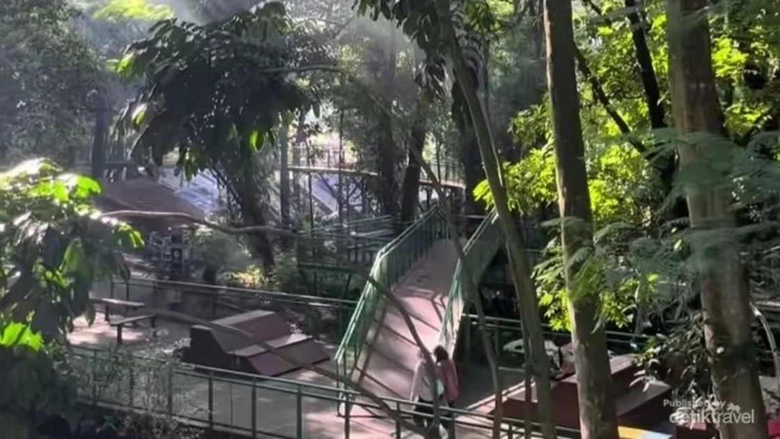 Babakan Siliwangi, Hutan Kota Sejuk di Tengah Bandung