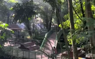 Babakan Siliwangi, Hutan Kota Sejuk di Tengah Bandung