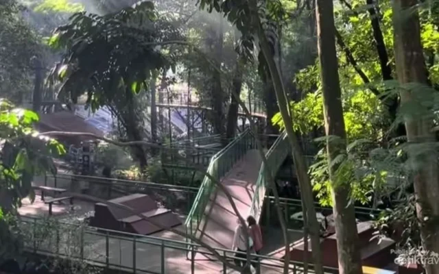 Babakan Siliwangi, Hutan Kota Sejuk di Tengah Bandung